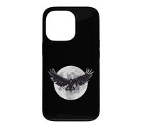 DARKNESS THERE & NOTHING MORE The Raven Edgar Allan Poe Meme Case for iPhone 13 Pro