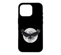 DARKNESS THERE & NOTHING MORE The Raven Edgar Allan Poe Meme Case for iPhone 16 Pro