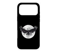 DARKNESS THERE & NOTHING MORE The Raven Edgar Allan Poe Meme Case for iPhone 17 Pro Max