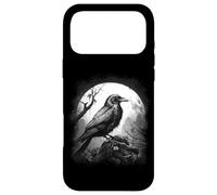 DARKNESS THERE & NOTHING MORE The Raven Edgar Allan Poe Meme Case for iPhone 17 Pro Max