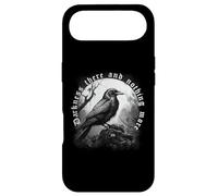 DARKNESS THERE & NOTHING MORE The Raven Edgar Allan Poe Meme Case for iPhone Air