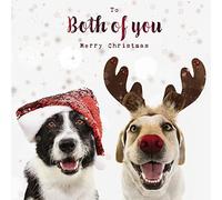 Darkroom Photographic Christmas Greeting Card - Both of You - Celebrating Christmas - Dogs With Festive Accessories - With a Red Foil Finish - From The Great British Card Company