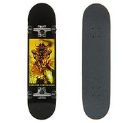 Darkstar Molten Complete Skateboard