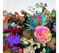 Darkstar - News From Nowhere [VINYL]