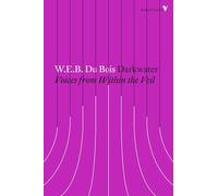 Darkwater: Voices from Within the Veil (Radical Thinkers Set 13)