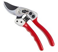 Darlac Expert Bypass Small Pruner - Razor Sharp Blades - Garden Secateurs Ideal for Small Hands - Secateurs for Fine Pruning - SK5 High Carbon Steel Blade, DP1033