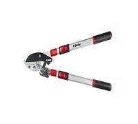 Darlac DP474A Telescopic Ratchet Lopper, Lightweight | Charlies