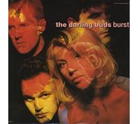 Darling Buds - Burst