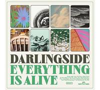 Darlingside - Everything Is Alive [VHS]