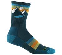 Darn Tough Men's Sunset Ridge Micro Crew Lightweight with Cushion Sock (Style 1997) - Bottle, Medium