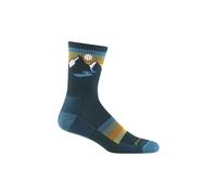 Darn Tough Men's Sunset Ridge Micro Crew Lightweight with Cushion Sock (Style 1997) - Bottle, Medium