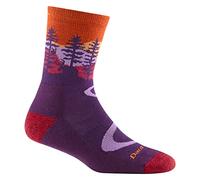 Darn Tough Women's Northwoods Micro Crew Lightweight Hiking Sock (Style 5013) -, Nightshade, L