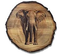 DARO Design - Elephant Wall Picture Size 20 cm - Art Print Ready to Hang - Wall Decoration Theme Hunting, Nature, Animals