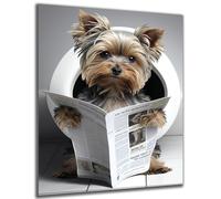 DARO Design - Pictures Decorative Guest Toilet Wall Picture Bathroom Toilet Art Print Picture on 6 mm HDF 30 x 20 cm Yorkshire Terrier Wall Decoration - Funny Wall Pictures Canvas Poster Aesthetic