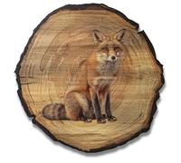 DARO Design - Wall Picture Fox Size 20 cm - Art Print Ready to Hang - Wall Decoration Theme Hunting, Nature, Animals