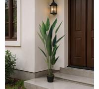 Darphe Artificial Bird Of Paradise Black Indoor Plant Pot Height 160 Cm
