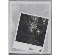 Darren Almond: The Giverny Polaroids: Civil Dawn