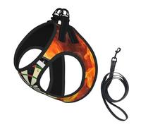 Dart Board print Dog Harness and Leash Set, Reflective Adjustable Puppy Vest for Small Medium Large Dogs, Cats