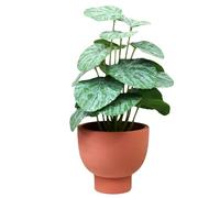 Darthome Artificial Chinese Money Plant 33cm In Paper Pot Terracotta Faux Realistic Houseplant