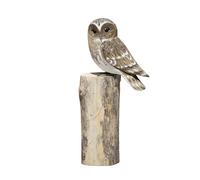 Darthome Barn Owl on Driftwood Wooden Perch Base 10x25x10cm Decorative Ornament Sculpture Figures