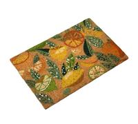 Darthome Citrus Zest Coir Doormat Rectangle Natural Lemon Lime Orange Fruit Non Slip Entrance Mat