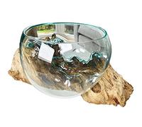 Darthome Molten 20cm Fruit Bowl On Teak Root Stand Glass Rustic Wood Decorative Sculpture