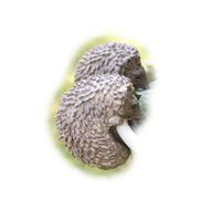 Darthome Set Of 2 Hedgehog Pot Hangers 5x8x7cm Resin Realistic Woodland Animal Planter Dceoration