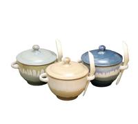 Darthome Set of 3 Coastal Reactive Glaze Soup Bowls with Lid Spoon & Handles Stoneware 300ml