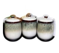 Darthome Set Of 3 Reactive Glaze Gothic Storage Jars Ceramic Tea Coffee Sugar Canisters