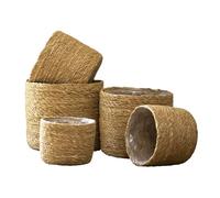 Darthome Set Of 5 Seagrass Basket Planter Woven Plastic Liners Round Indoor Flower Pot