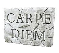 Darthome Stone Wall Plaque Carpe Diem Antique Grey Rectangle Latin Outdoor Sign Art Decor 28cm x 21cm
