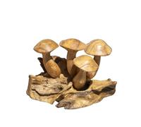 Darthome Teak Root 5 Wavy Cap Mushroom Sculpture 12x15x10cm Mini Wood Toadstool Nature Ornament Gift