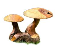 Darthome Teak Root Double Wild Mushroom Sculpture Hand Carved Wood Toadstools Large Art 40cm