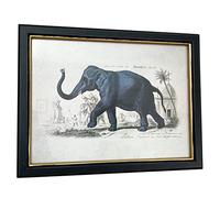 Darthome Zebra Elephant Giraffe Framed Wall Art Safari Animal Home Decorative Print Horizontal Artwork (Elephant)