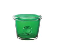 Dartington Crystal 1 Litre Bottle RHS Flower Pot Holder