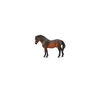 Dartmoor Pony Bay
