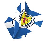 Darts Corner Scotland Dart Flights | Officially Licensed Scotland FA | Standard No2 100 Micron, St Andrews Cross, 1 Set of 3 Flights (F3855)