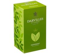 DARVILLES of WINDSOR - 25 x PEPPERMINT Individually Wrapped Tag & Envelope Teabags - Premium English Fruit, Herb and Green Tea Bags - (25 teabags)