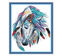 Darwery Rainbow Horse Stamped Cross Stitch Kits Cross Stitch DIY Hand Needlework Kits DIY Needlework for Beginners Kids Adults