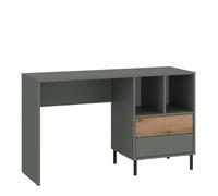 Furniture To Go Darwin Desk 2 Drawer In Green/oak