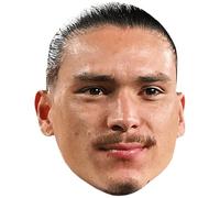 Darwin Nunez Ribeiro (Smile) Celebrity Mask, Flat Card Face, Fancy Dress Mask
