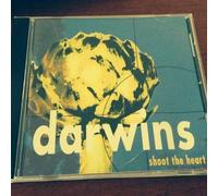 Darwins - Shoot the Heart