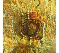 Darxtar - Aged to Perfection [VINYL]