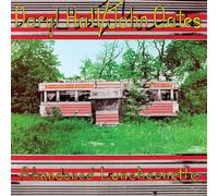 DARYL HALL & JOHN OATES - ABANDONED LUNCHEONETTE (TRANSLUCENT GOLD VINYL/LIMITED ANNIVERSARY EDITION/GATEFOLD COVER) [Vinyl LP] [VINYL]