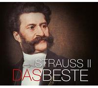 Wiener Symphoniker Das Beste: Johann Strauss (CD)