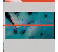Das Ende der Liebe - Persist [VINYL]