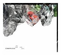 DAS ENDE VOM KREIS”