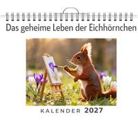 Das geheime Leben der Eichhörnchen: Wandkalender 2027, Kalender DIN A4 quer, Monatskalender im Querformat mit Kalendarium, das perfekte Geschenk