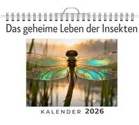 Das geheime Leben der Insekten: Wandkalender 2026, Kalender DIN A4 quer, Monatskalender im Querformat mit Kalendarium, das perfekte Geschenk