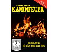 Das Kaminfeuer